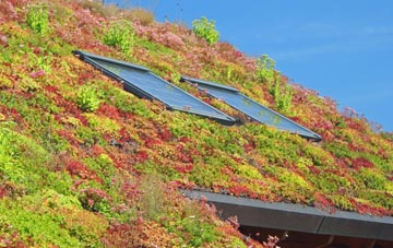 Culkein living roof systems
