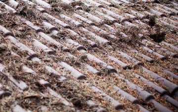 Culkein roof cleaning companies